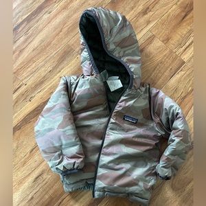 Patagonia reversible down sweater hoody